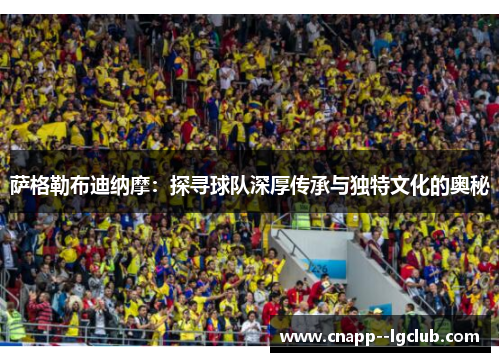 萨格勒布迪纳摩：探寻球队深厚传承与独特文化的奥秘