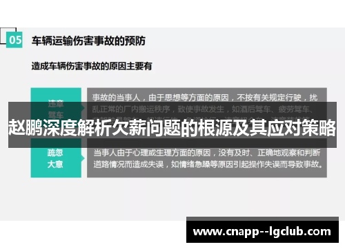 赵鹏深度解析欠薪问题的根源及其应对策略
