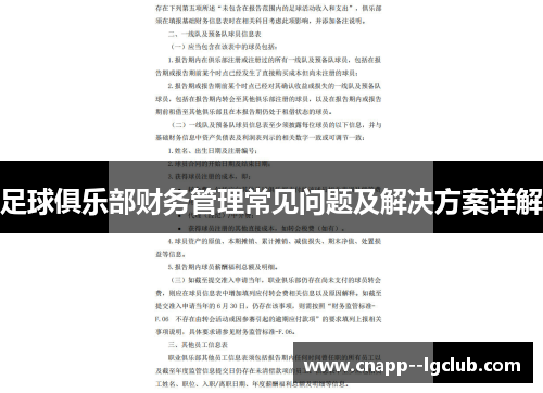 足球俱乐部财务管理常见问题及解决方案详解 足球俱乐部财务管理常见问题及解决方案详解