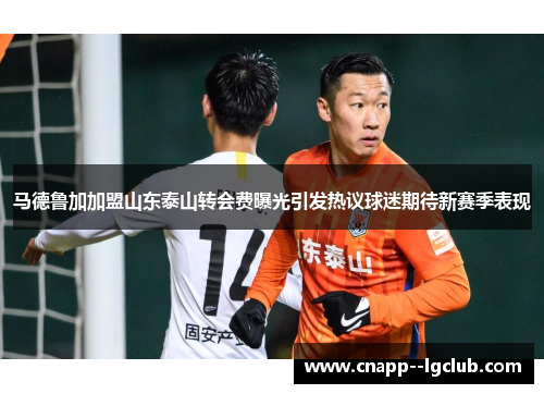 马德鲁加加盟山东泰山转会费曝光引发热议球迷期待新赛季表现